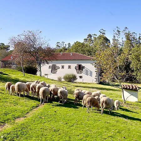 Venkovský dům A Pena De Augasantas *