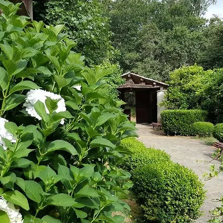 A Pena De Augasantas Casa rural *