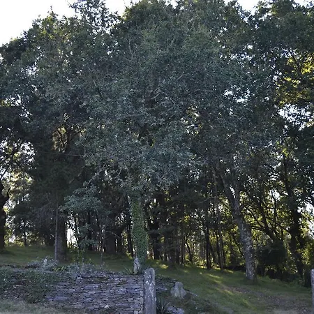 A Pena De Augasantas *