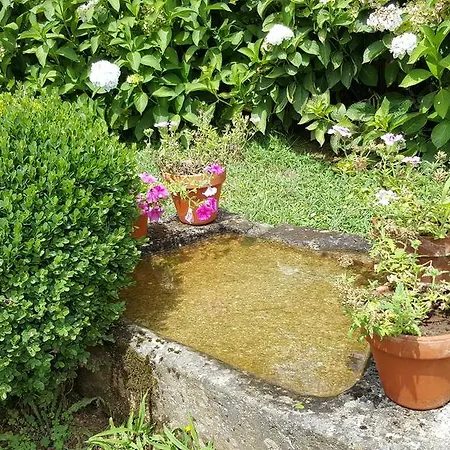 Venkovský dům A Pena De Augasantas