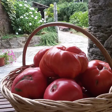 A Pena De Augasantas Venkovský dům