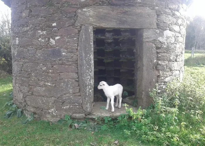 컨트리하우스 A Pena De Augasantas