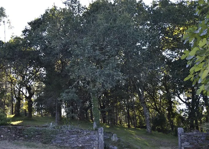 A Pena De Augasantas *