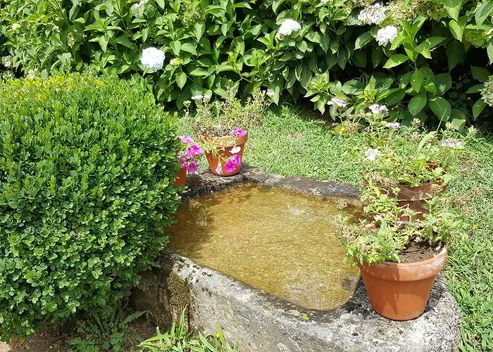 컨트리하우스 A Pena De Augasantas