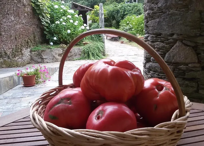 A Pena De Augasantas Venkovský dům